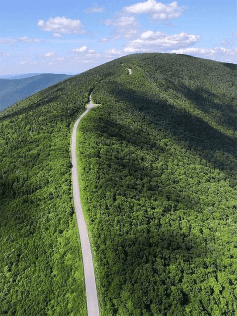 Winding mountain trail through lush green forest with blue sky and clouds in the background.