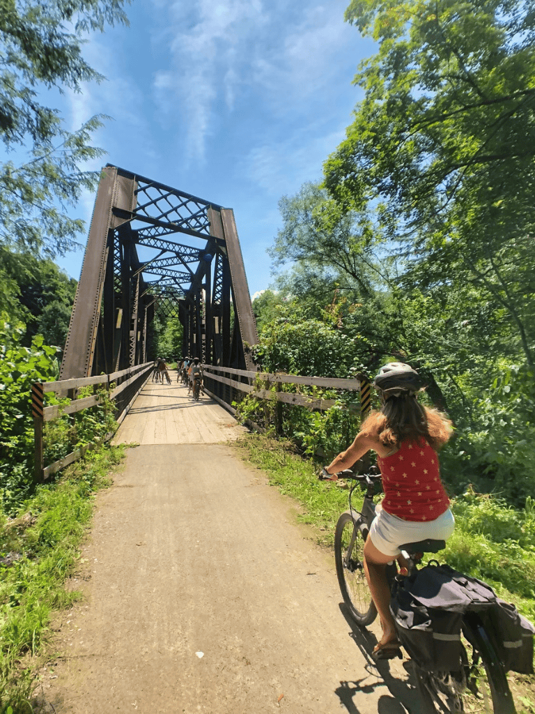 - Modern steel bridge for cycling and walking amid lush green trees under a blue sky.