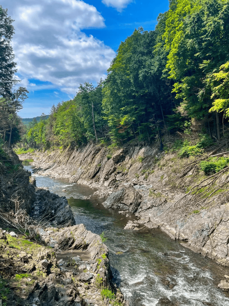 Rugged river canyon with lush green trees and rocky cliffs, scenic outdoor nature trail in wilderness area.