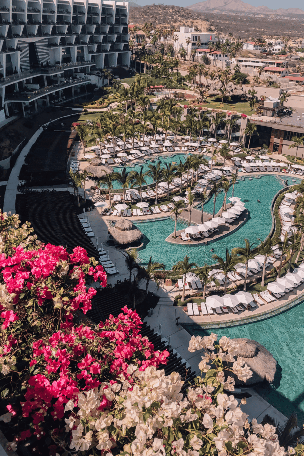 Luxurious resort pool with palm trees and lounging areas in a tropical destination.