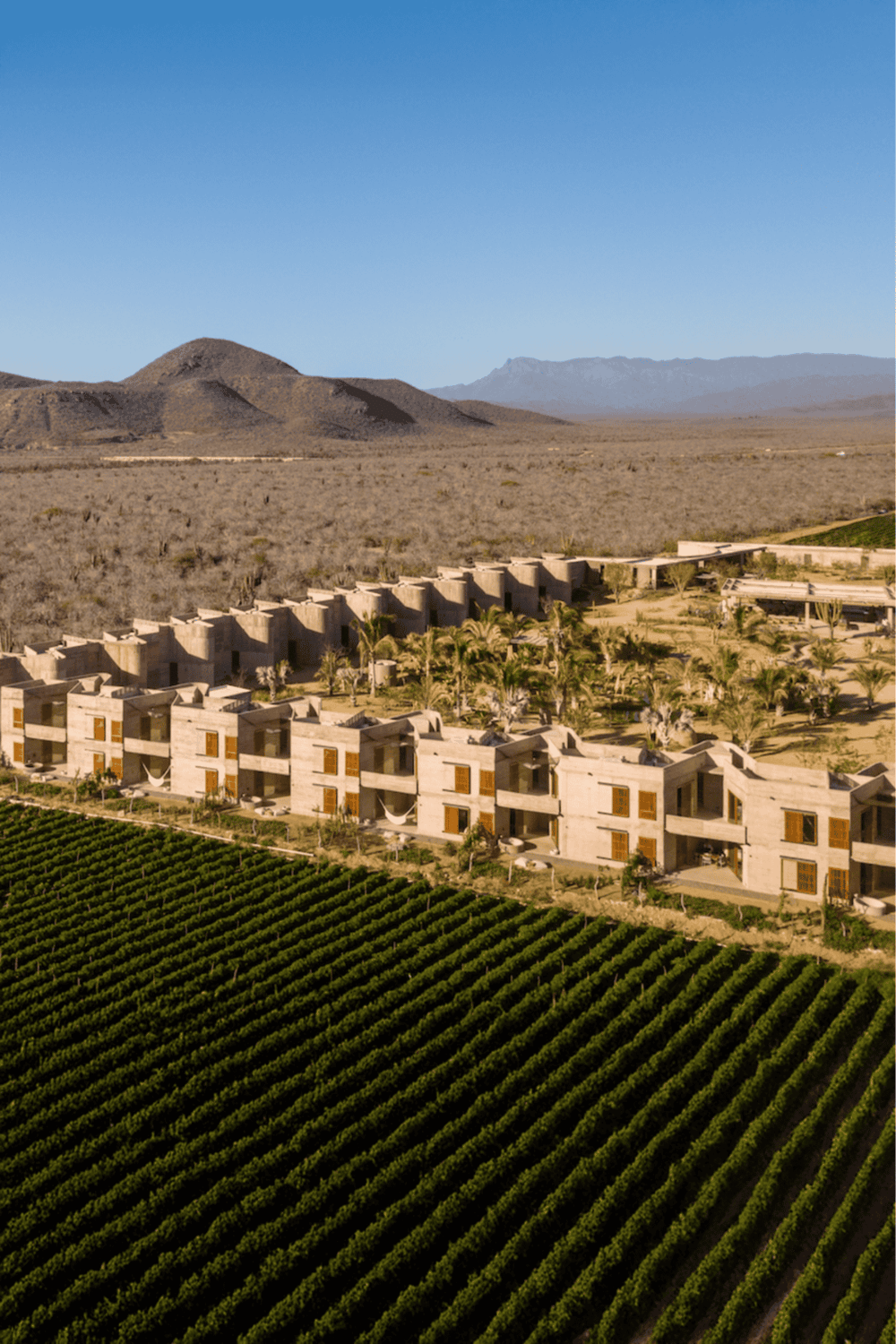 Modern desert resort with lush vineyards and mountain views in Nevada.