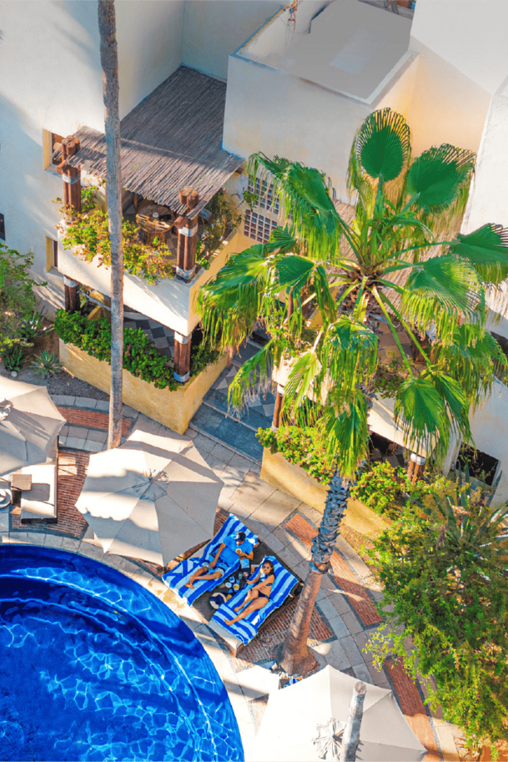 Relaxing poolside resort with palm trees, lounge chairs, and sunny outdoor umbrellas.