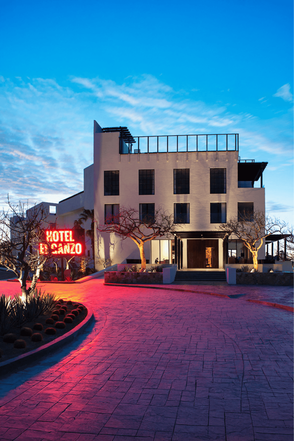 Modern boutique hotel exterior with night lighting and neon signs, perfect for travelers seeking a unique stay.