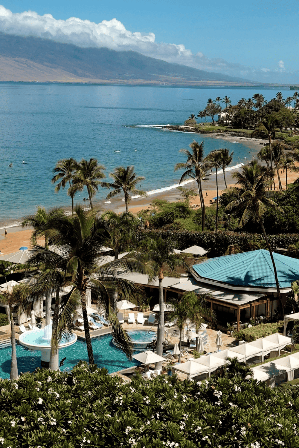 Luxury beach resort with ocean views and tropical palm trees.
