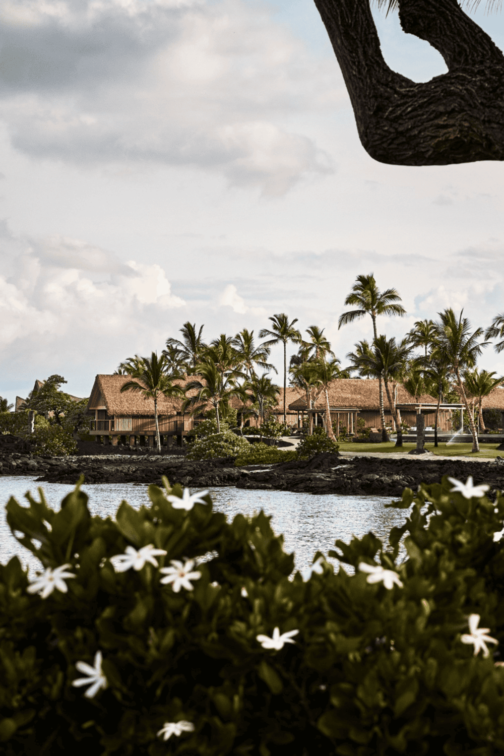 Luxurious beachfront resort with overwater bungalows, tropical palm trees, and scenic water views.