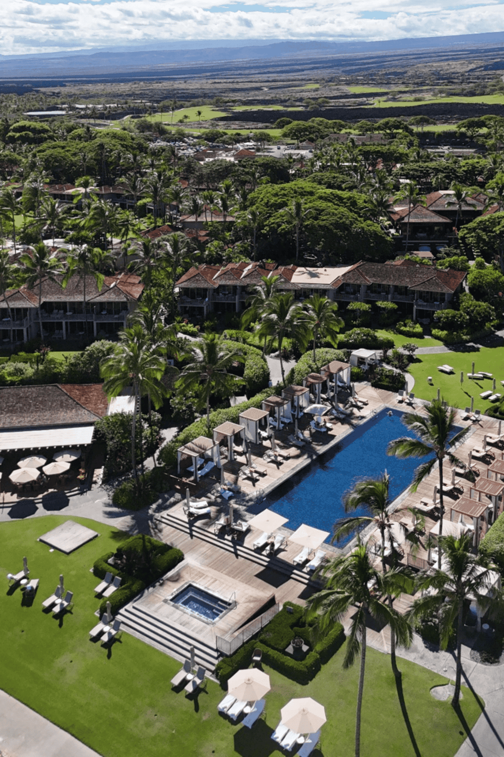 Relaxing resort pool area surrounded by lush tropical greenery and palm trees, perfect for vacation.