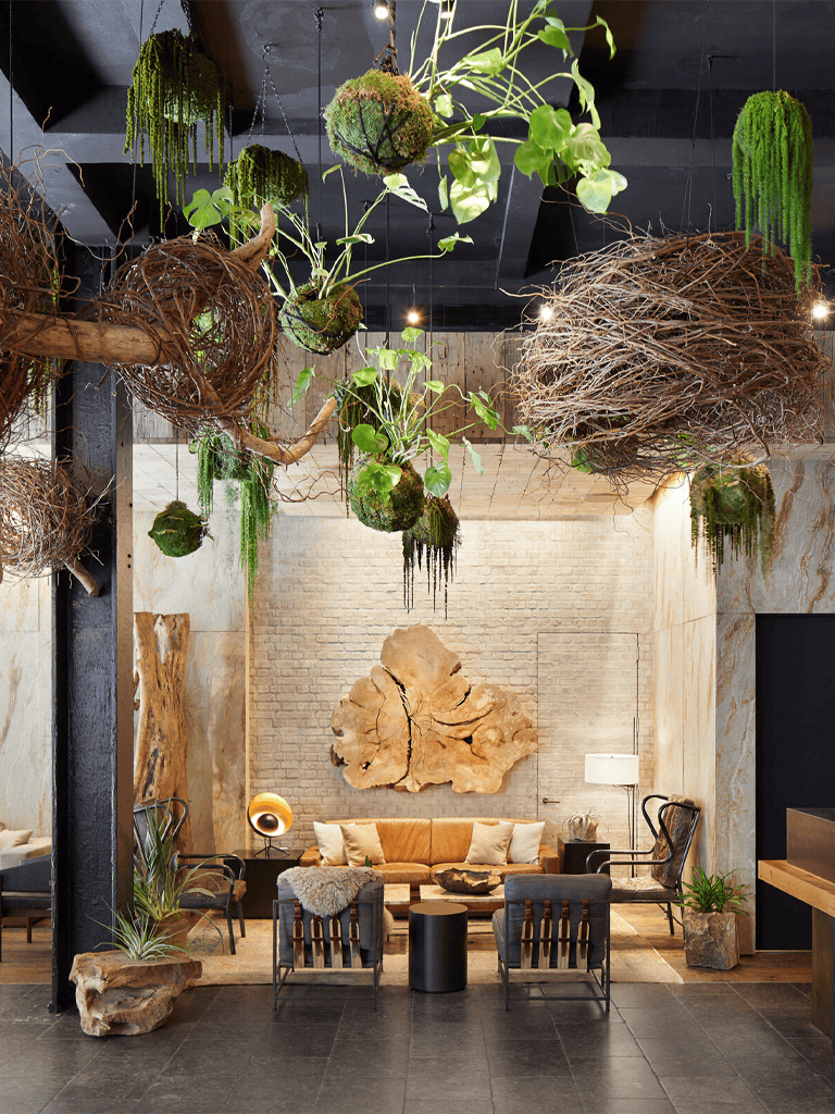 Indoor modern boho lounge with hanging plants and natural wood decor.