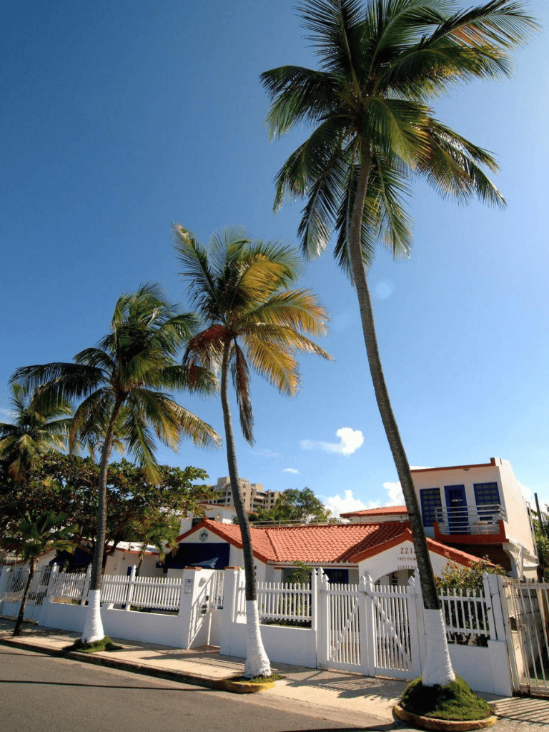 Lush palm trees in front of a tropical house with a red-tiled roof under a bright blue sky.