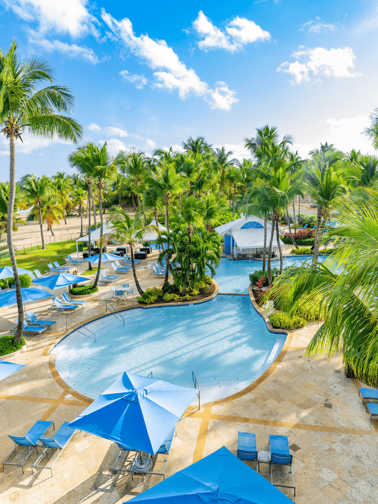 Relaxing tropical poolside with palm trees and sunshine, perfect for vacation and leisure.