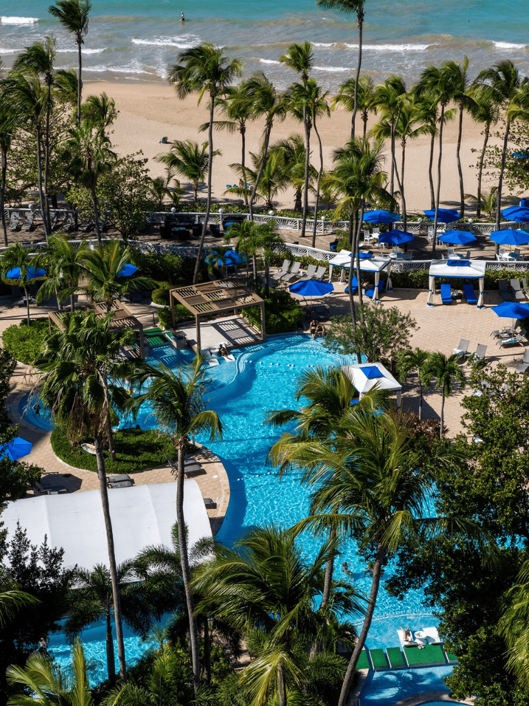 Tropical beach resort with palm trees, pool, and ocean view, perfect for vacation relaxation.