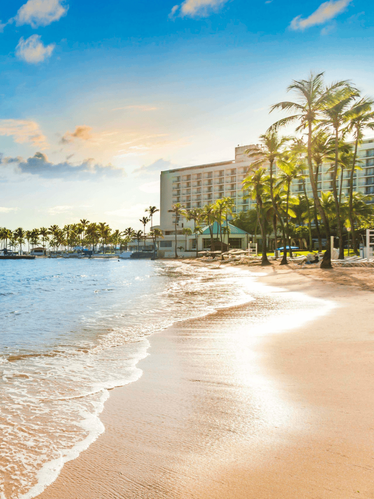 Luxury beachfront resort with palm trees and ocean view at sunset.