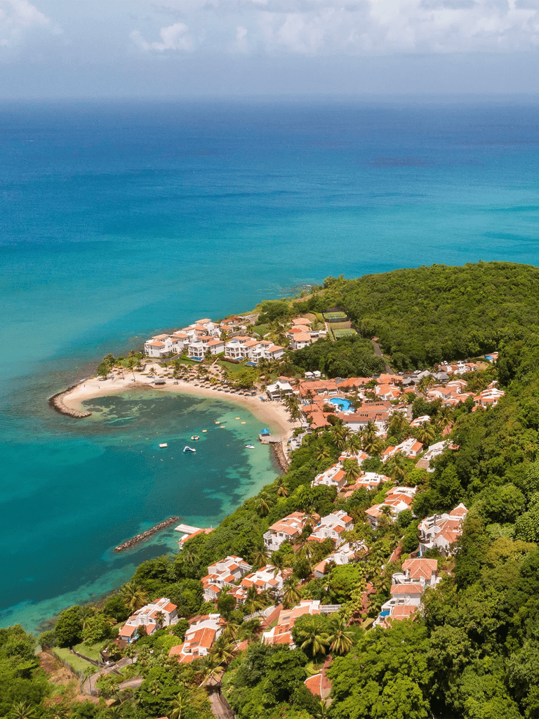 Aerial view of a tropical seaside resort with white villas and lush greenery by the ocean.