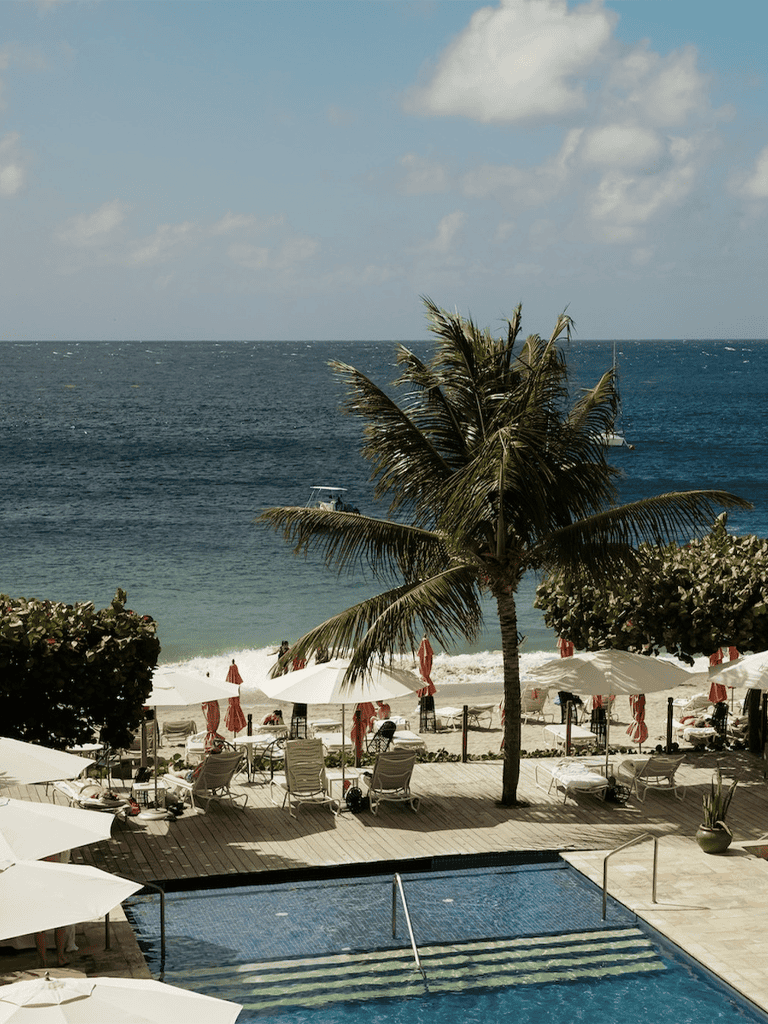 Relaxing beach view with pool, palm trees, and ocean at tropical resort.