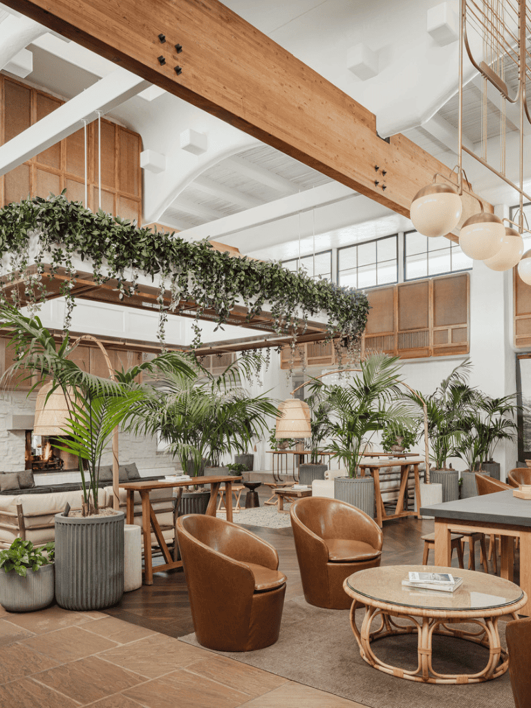 Modern, stylish interior of a cozy cafe with abundant greenery and natural wood accents, perfect for relaxing or working.