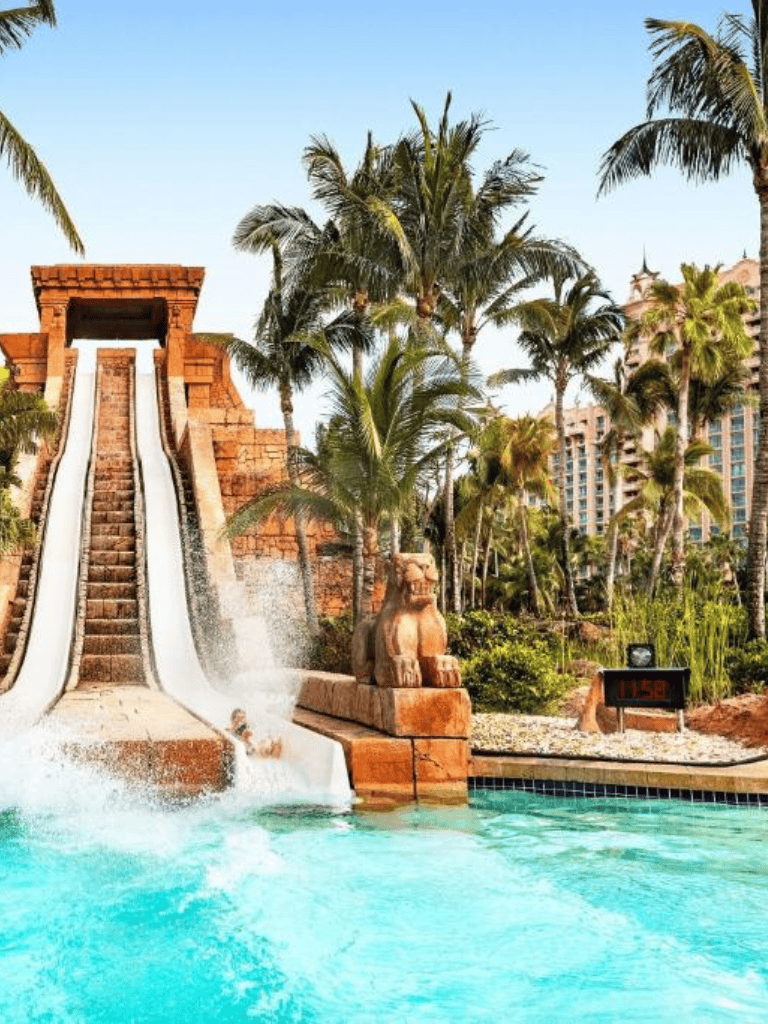 Luxurious resort water slide with palm trees and tropical scenery in the background.