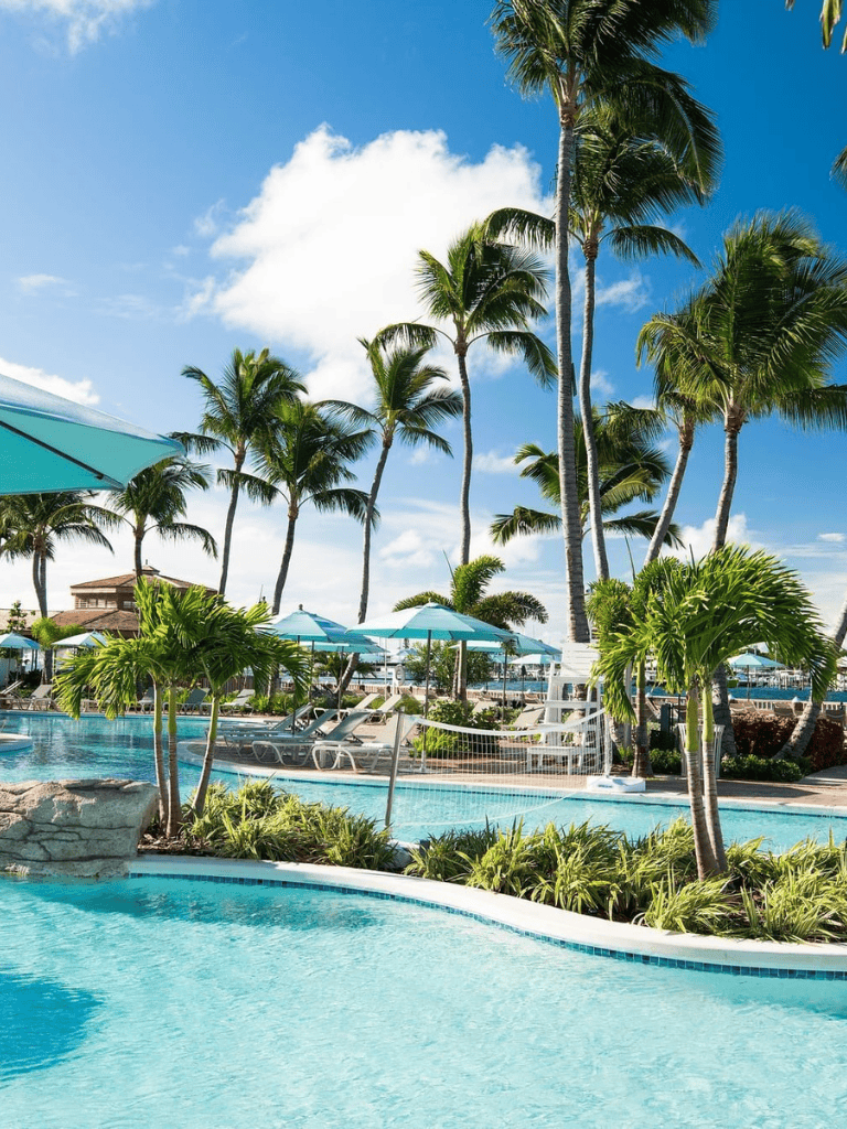 Luxurious tropical pool with palm trees, sun loungers, and umbrellas in a resort setting.