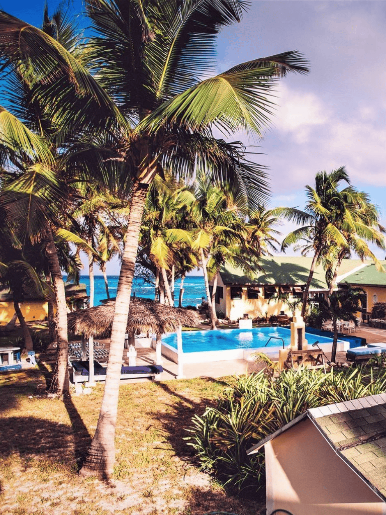 Tropical beachfront resort with pool, palm trees, and ocean view, perfect for vacation relaxation.