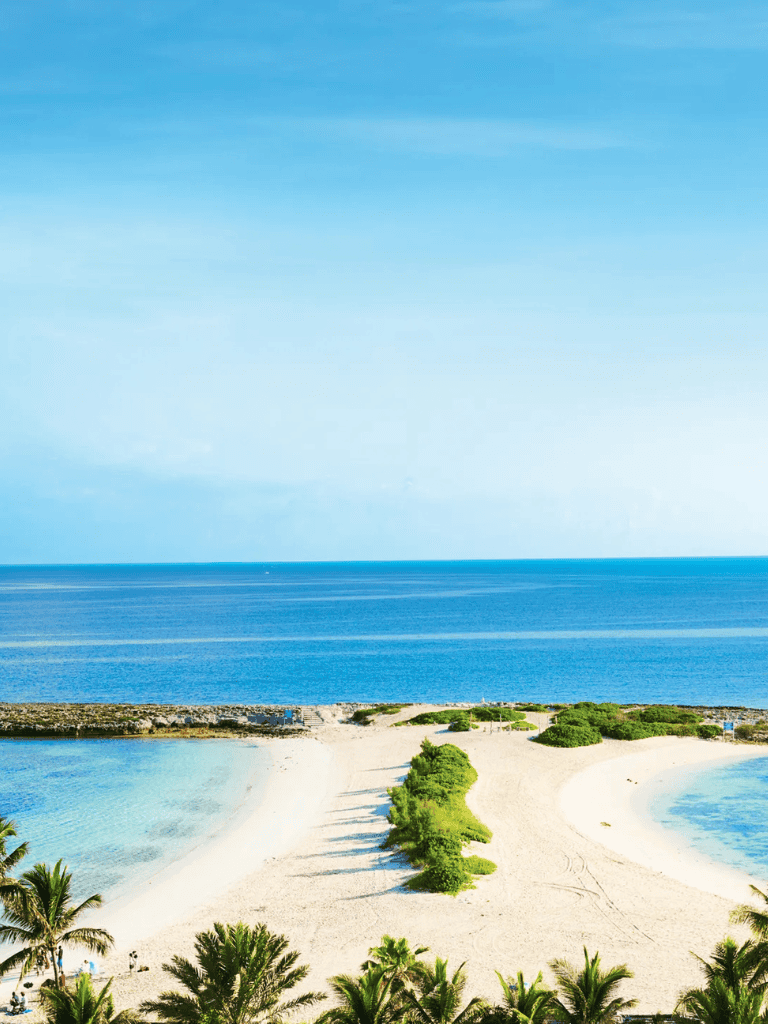 Beach with palm trees and clear blue waters, perfect for travel and vacation destinations.