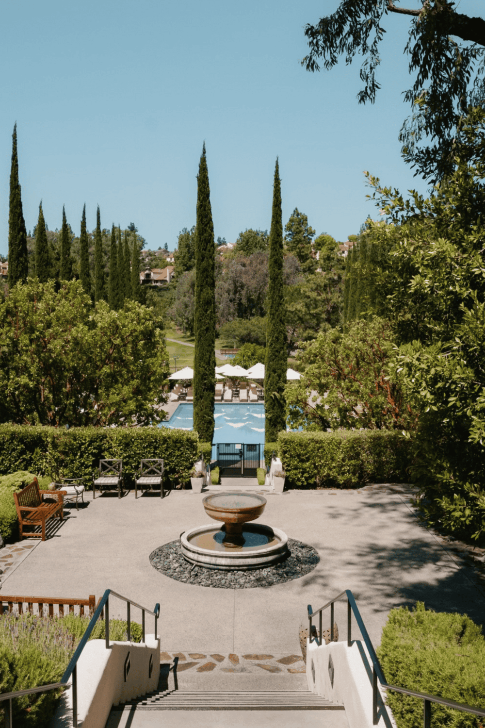 Serene outdoor pool area with lush greenery and tall cypress trees, perfect for relaxation and leisure.