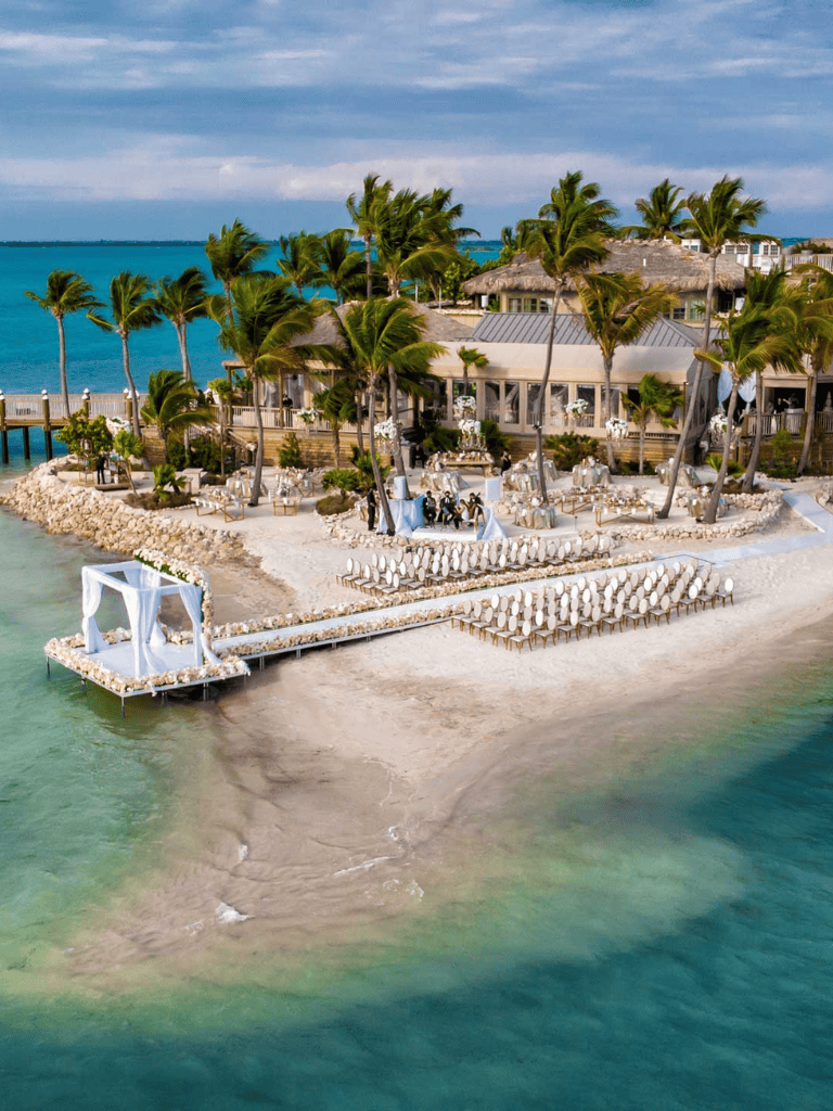 Beachfront wedding venue with palm trees and ocean views, perfect for destination ceremonies.