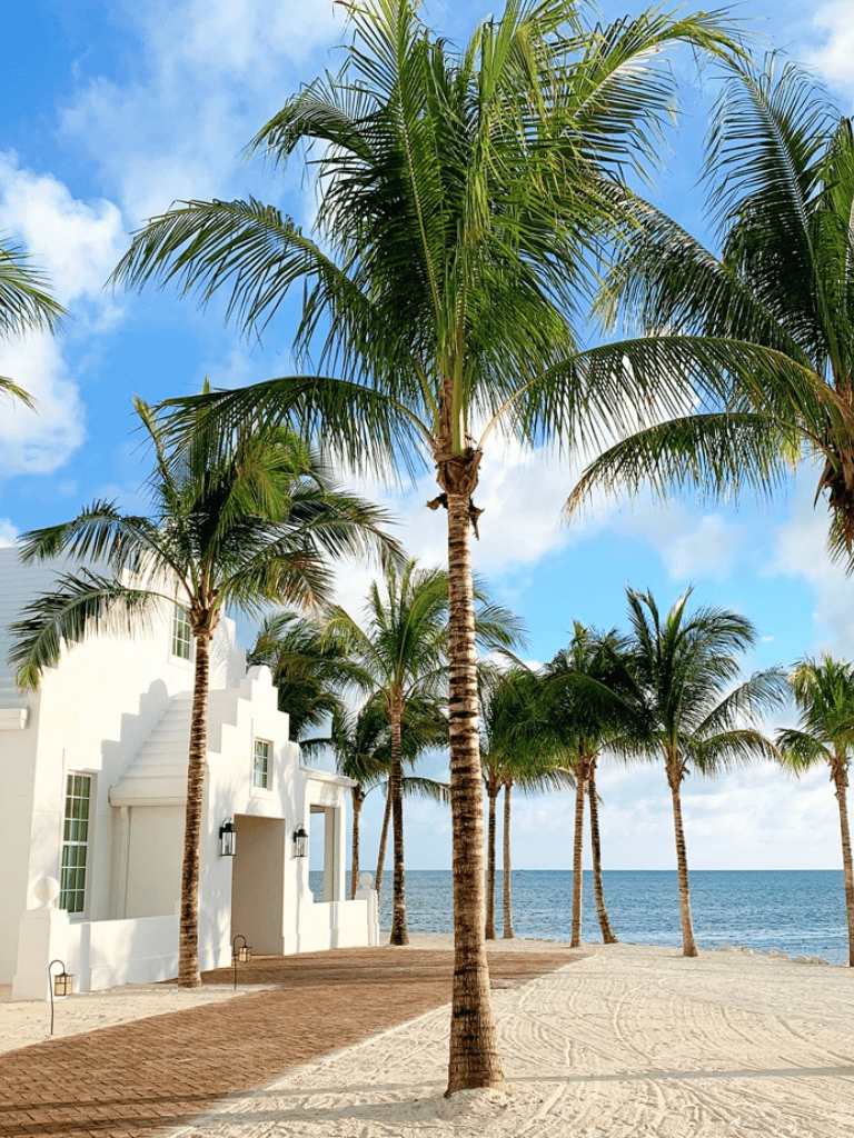Tropical beachfront with palm trees and white villa, sunny seaside vacation destination.