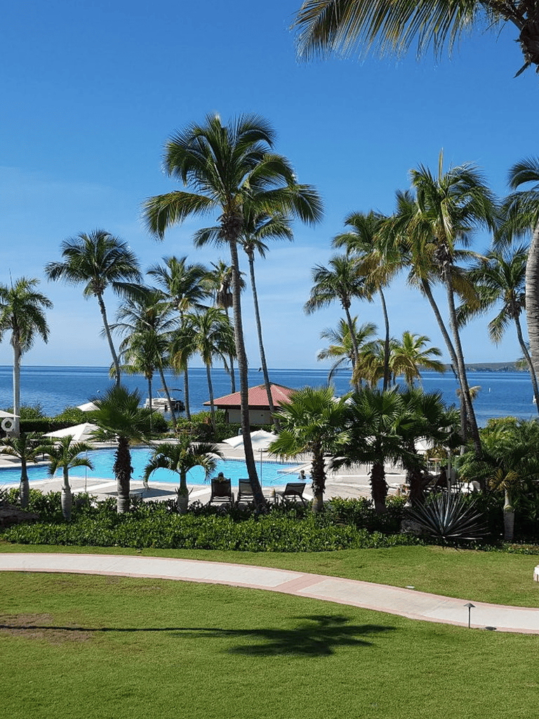 Palm trees at a tropical resort with swimming pool and ocean view in the background.