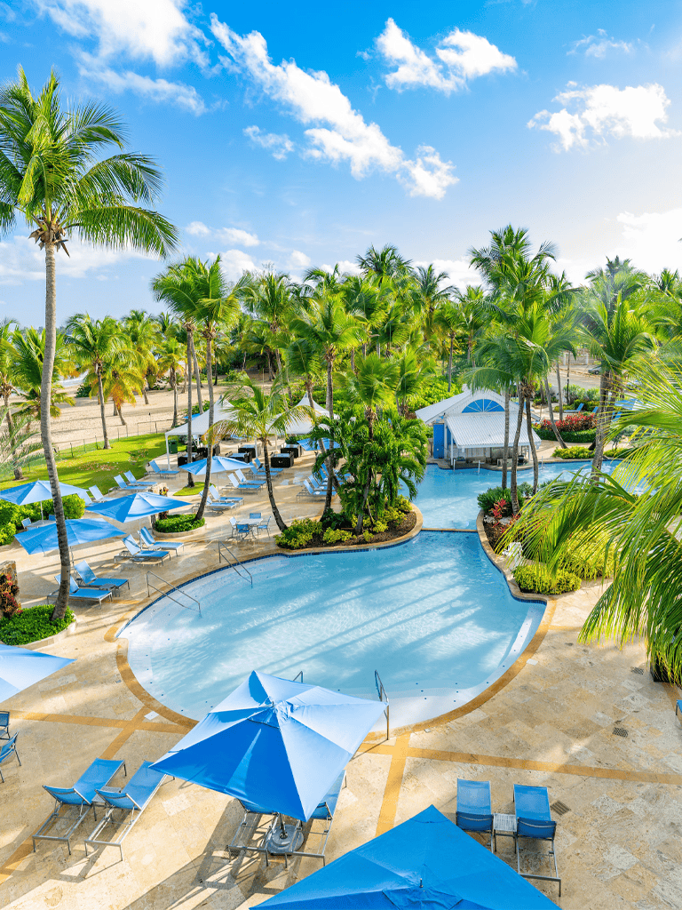 Tropical poolside resort with palm trees, lounge chairs, and vibrant blue water, perfect for relaxation.
