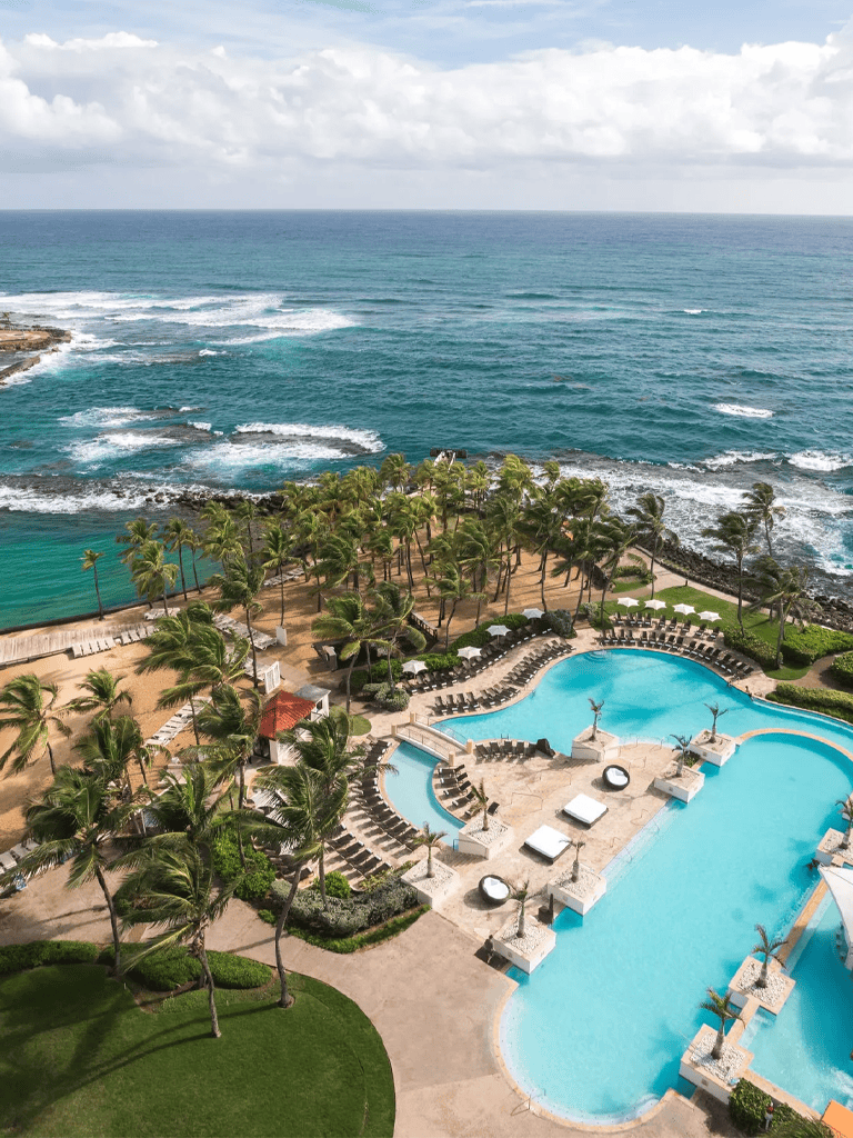 Luxurious oceanfront resort with swimming pool and palm trees, perfect for tropical vacations.