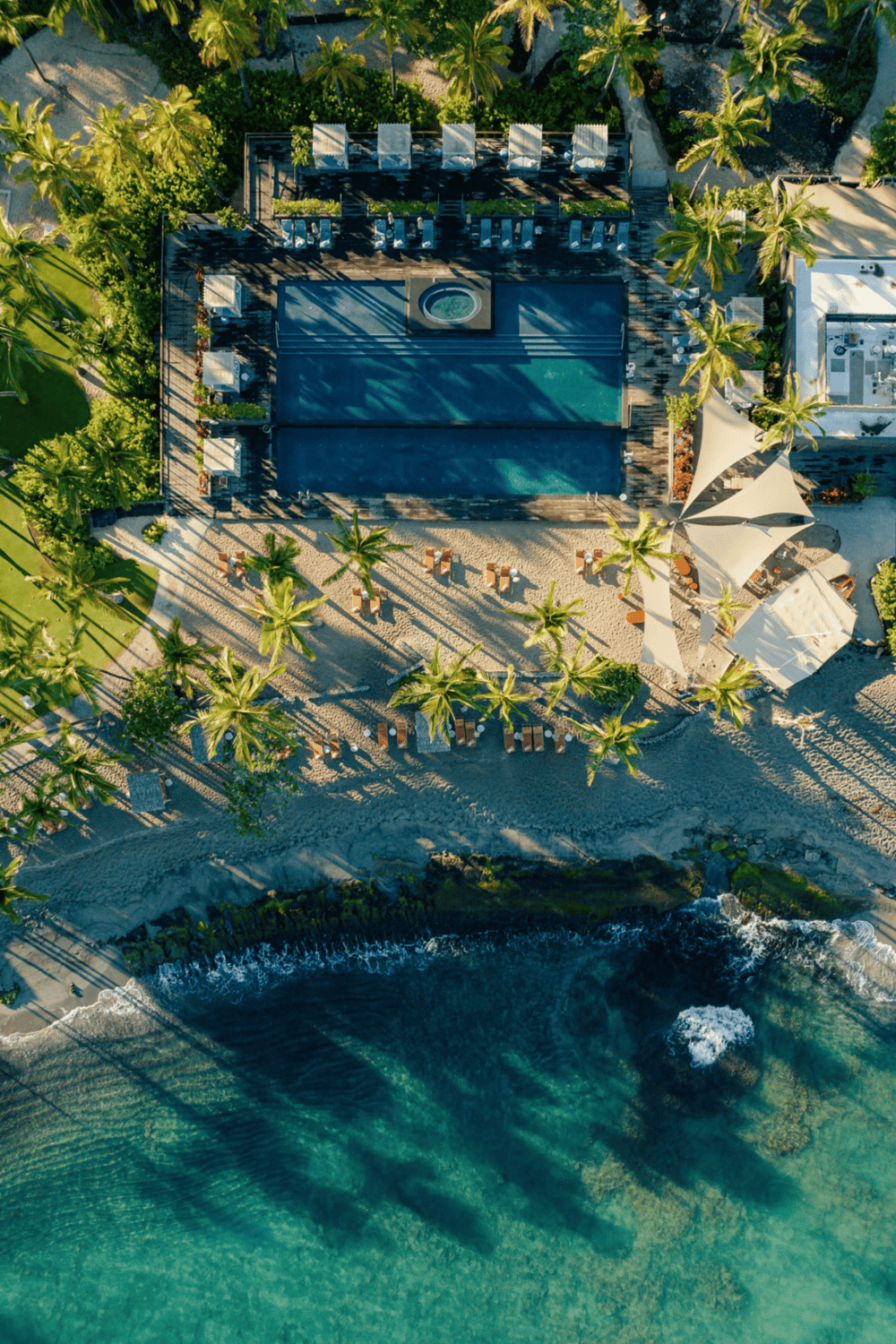 Luxurious beachfront pool with ocean views, surrounded by palm trees and outdoor lounge areas.