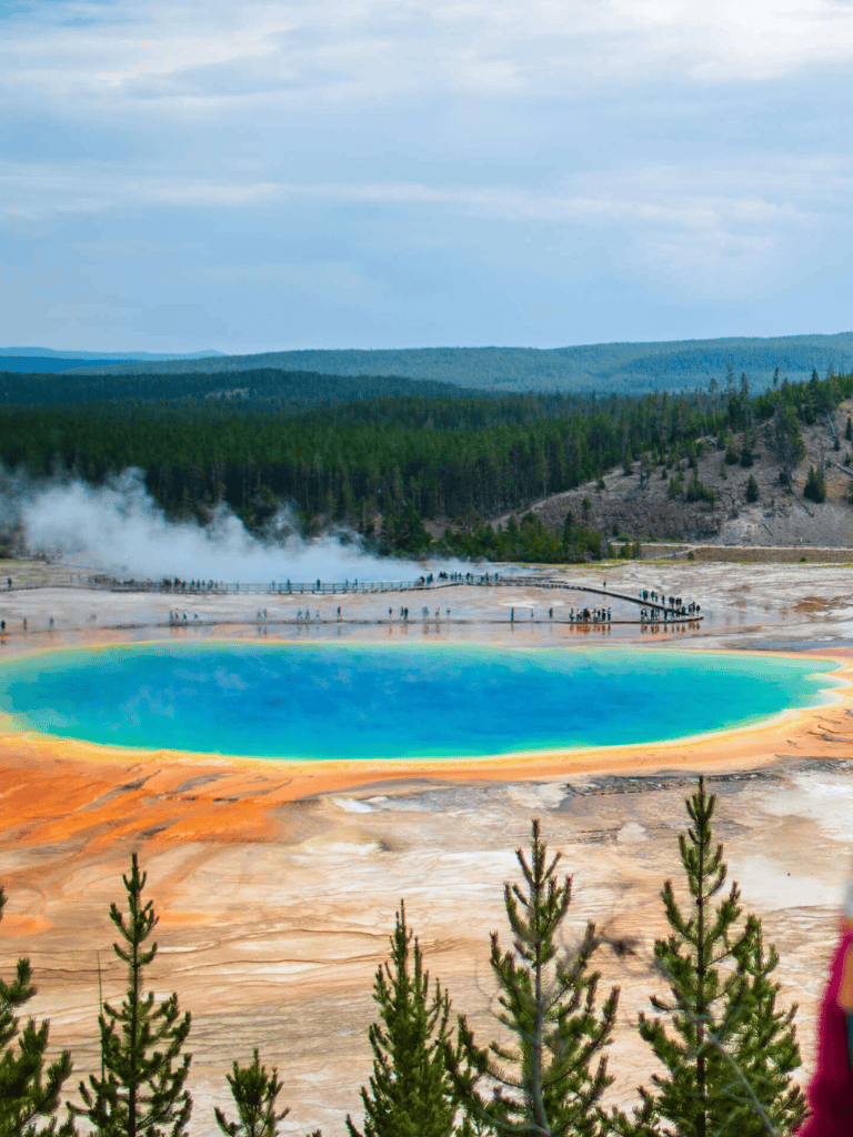 Vivid Grand Prismatic Spring in Yellowstone National Park with vibrant colors and geothermal activity.
