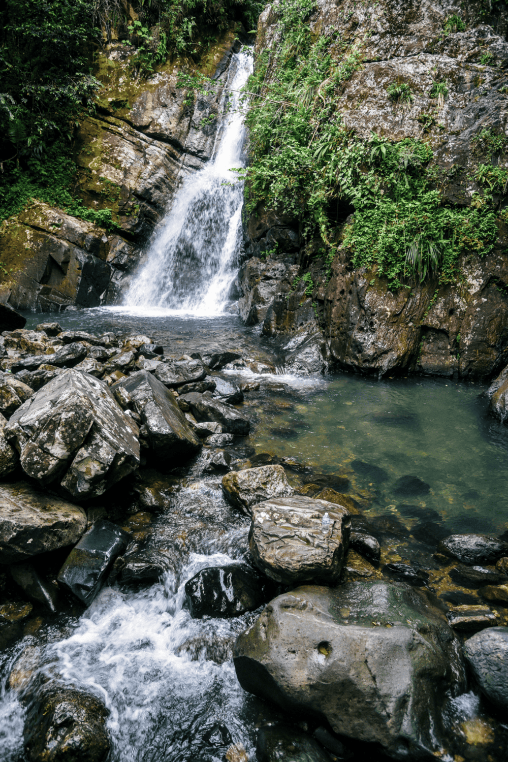 Serene waterfall in lush jungle, natural scenic beauty, jungle adventure, peaceful water stream, green tropical forest.