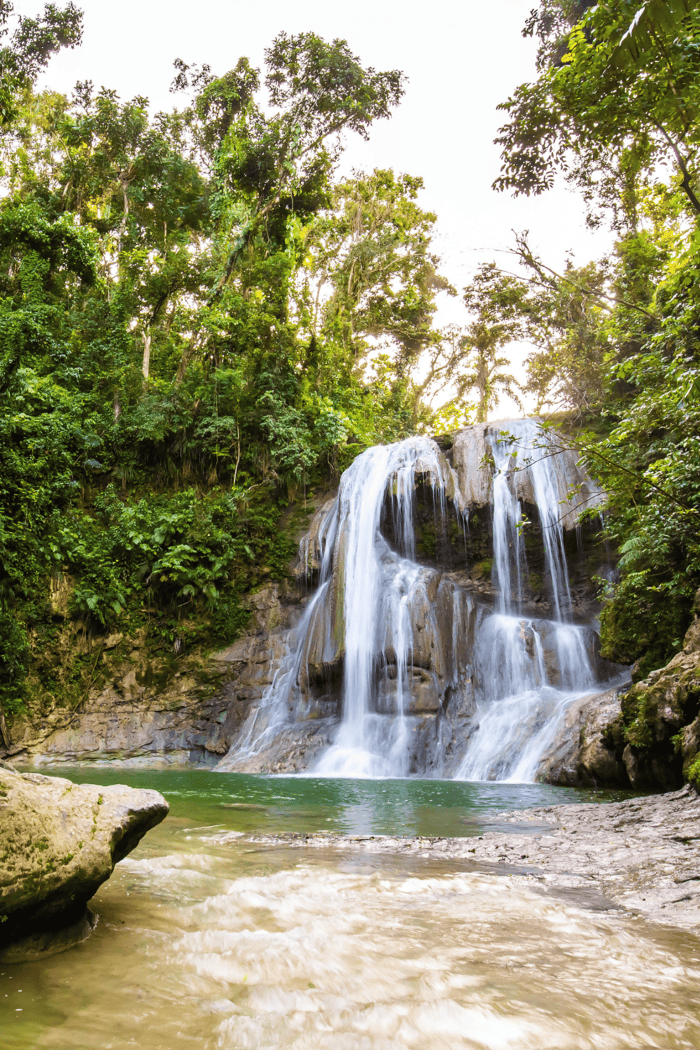 Waterfall in lush rainforest environment, scenic nature travel destination, adventure trip.