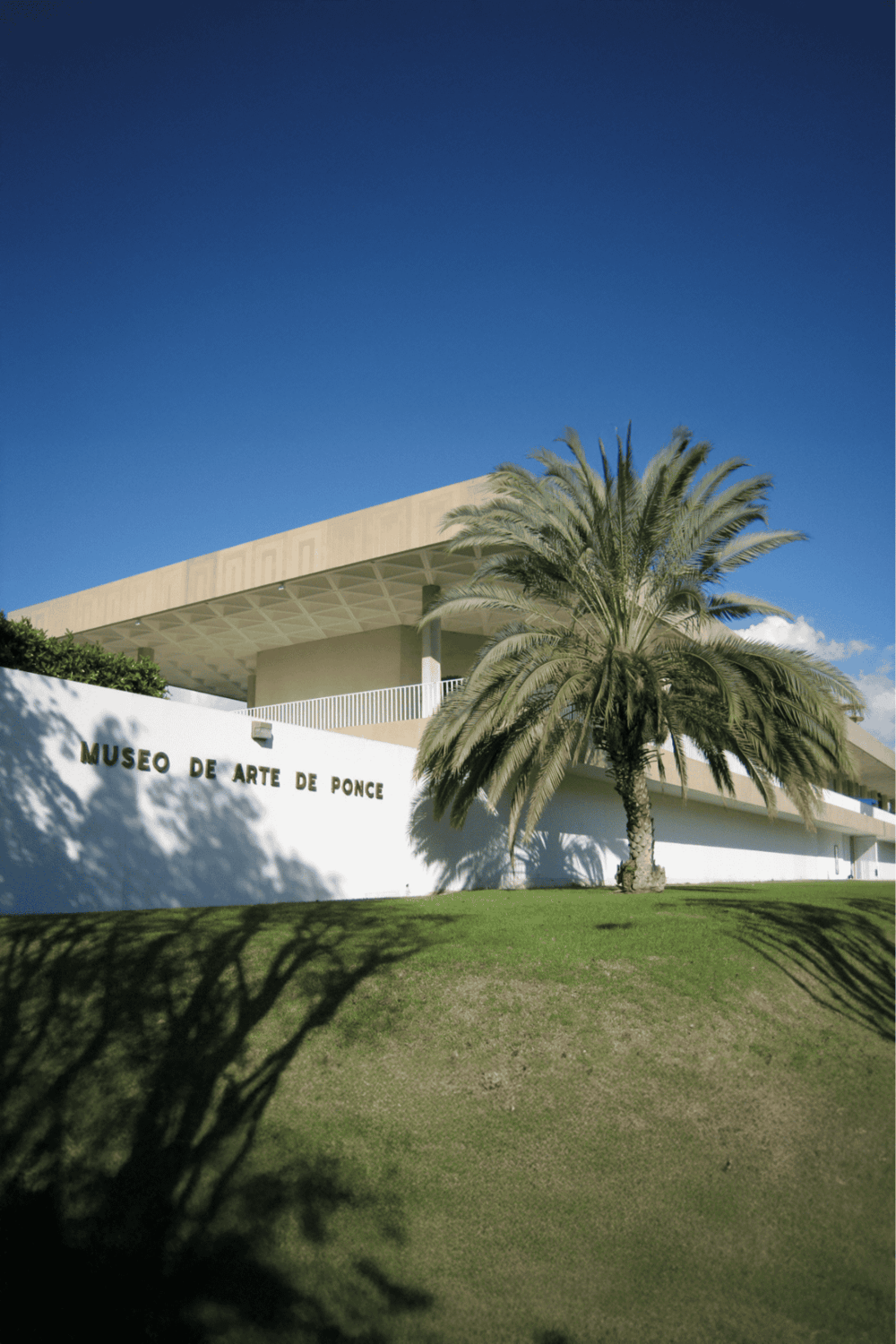 Modern art museum exterior with palm tree, bright blue sky, and lush green lawn.