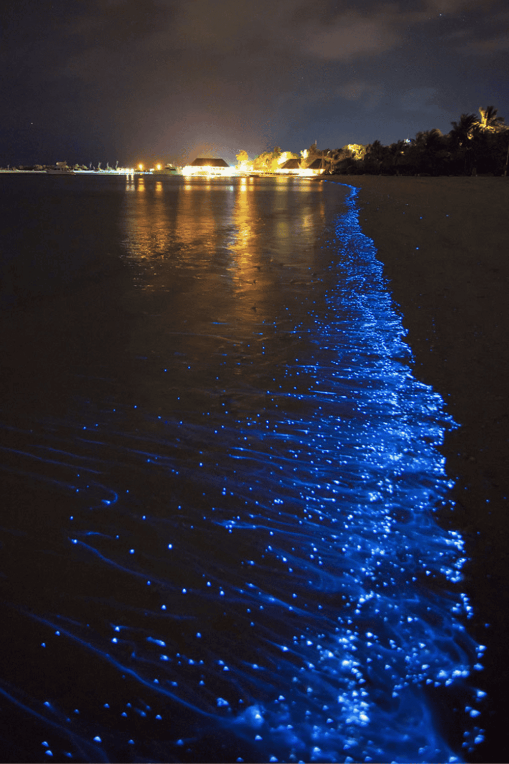 Bioluminescent beach at night with glowing blue waves, illuminated shoreline, and tropical palm trees, perfect for travel and adventure travel enthusiasts.