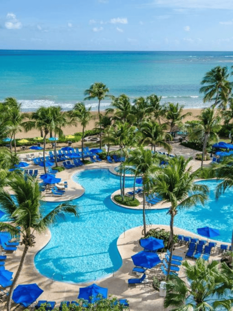 Relaxing poolside with ocean views at tropical beach resort.
