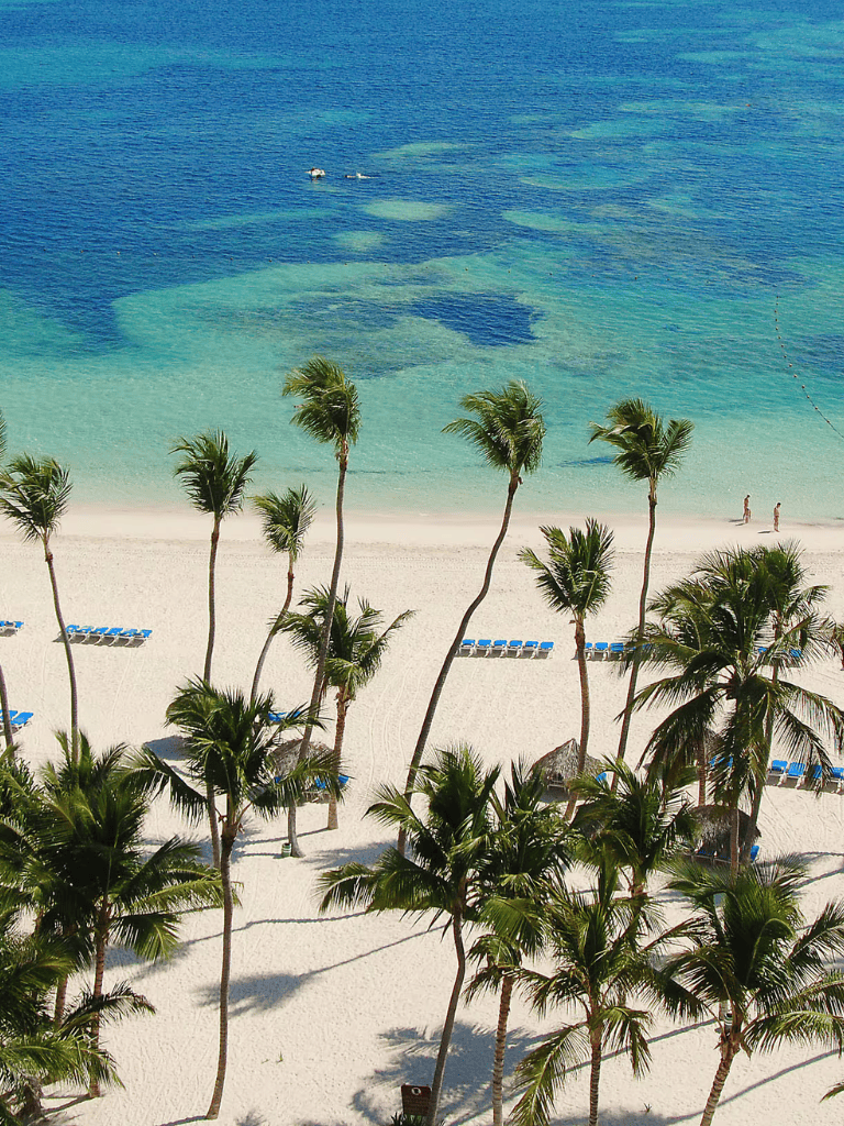 Aerial view of tropical beach with palm trees, white sand, and clear blue water.
