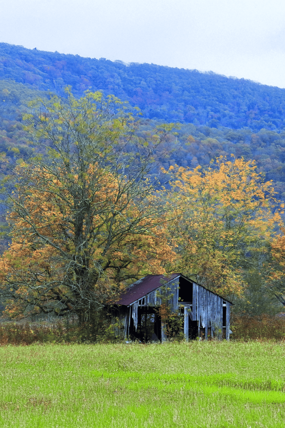 Old barn in a scenic countryside with colorful fall trees and mountain background, capturing rural landscape inspired by QuestForDirections.
