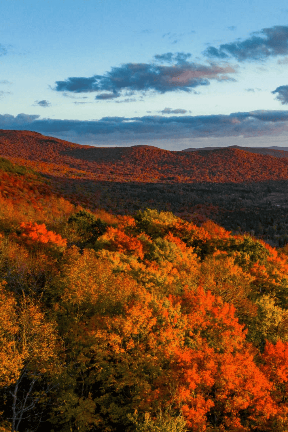 Autumn foliage in a scenic mountain landscape with vibrant fall colors.