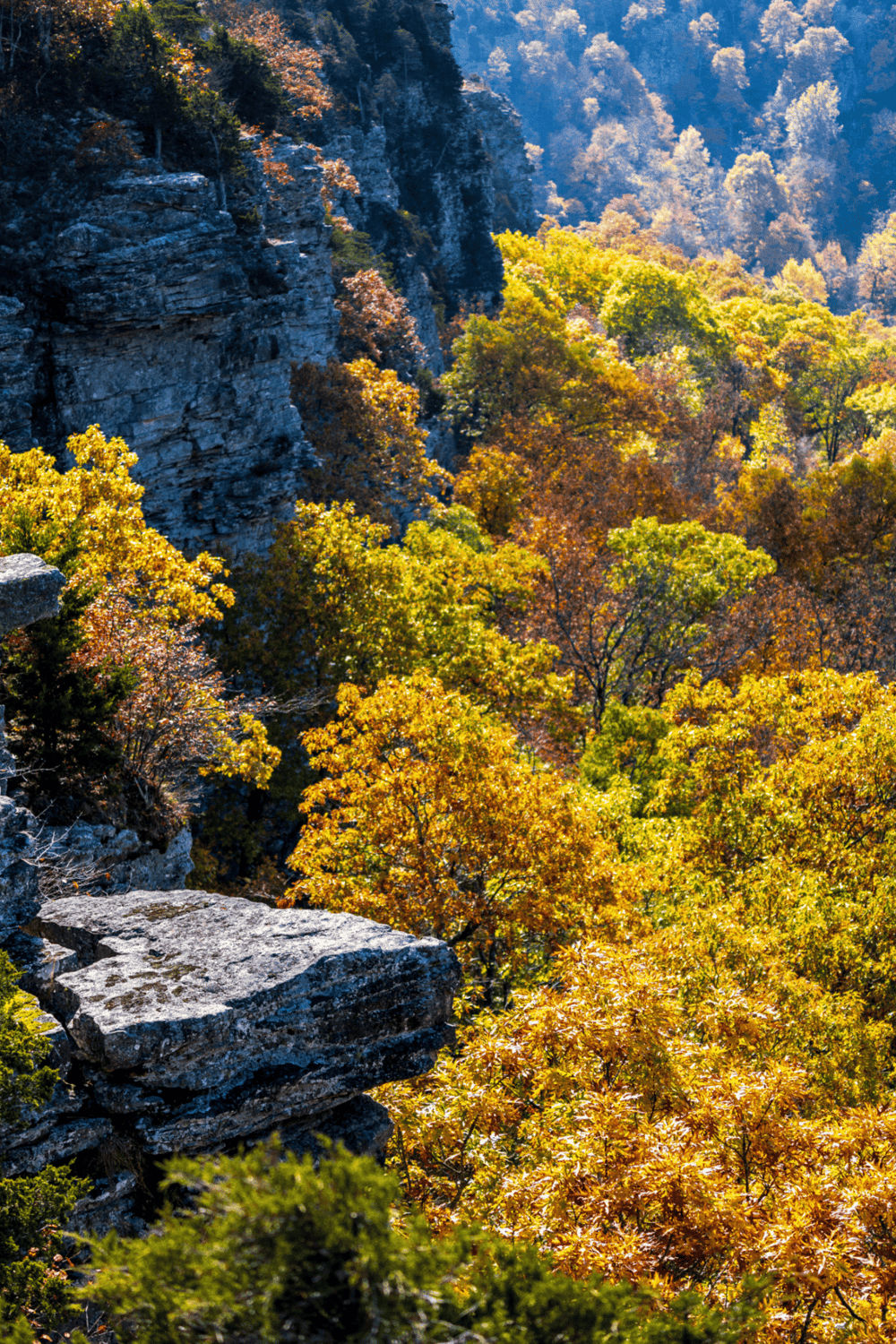 Vibrant autumn foliage and rocky cliffs at QuestForDirections scenic outdoor location.