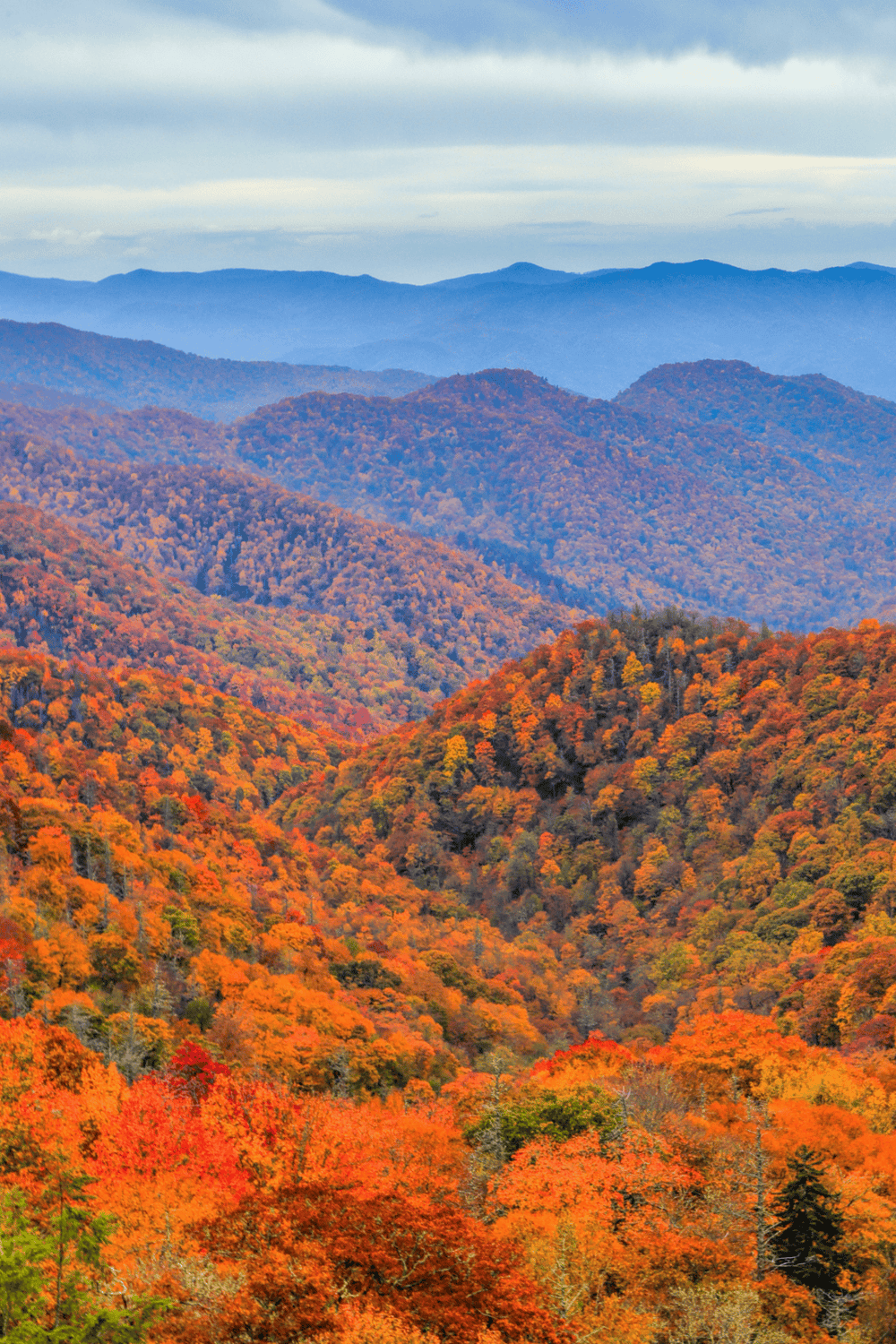Vibrant fall foliage in Blue Ridge Mountains, scenic autumn landscape with colorful trees.