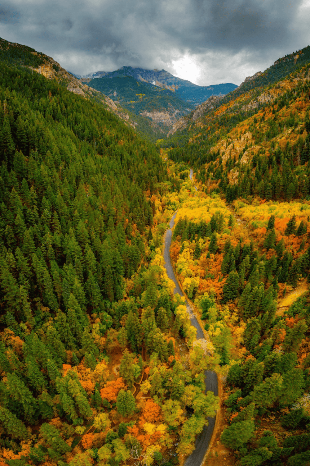 Lush green and vibrant fall foliage in a mountain canyon under cloudy sky.