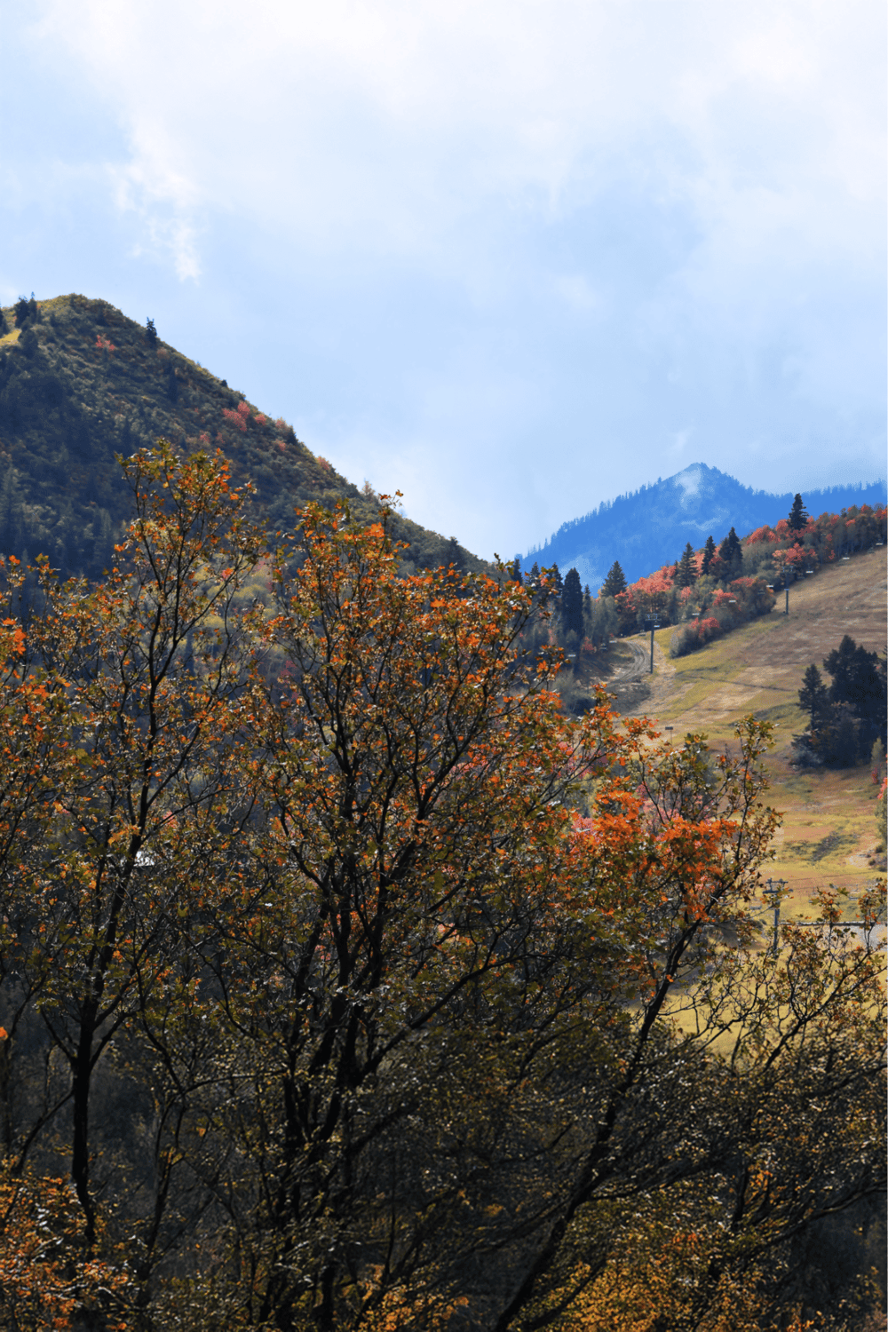 Colorful mountain landscape with autumn foliage and scenic hiking trails.