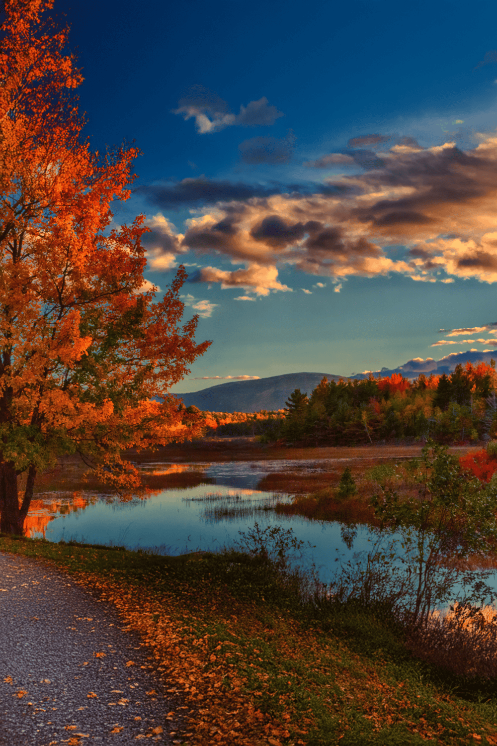 Vibrant fall foliage along a scenic river with mountains in the background, ideal for nature and travel exploration.