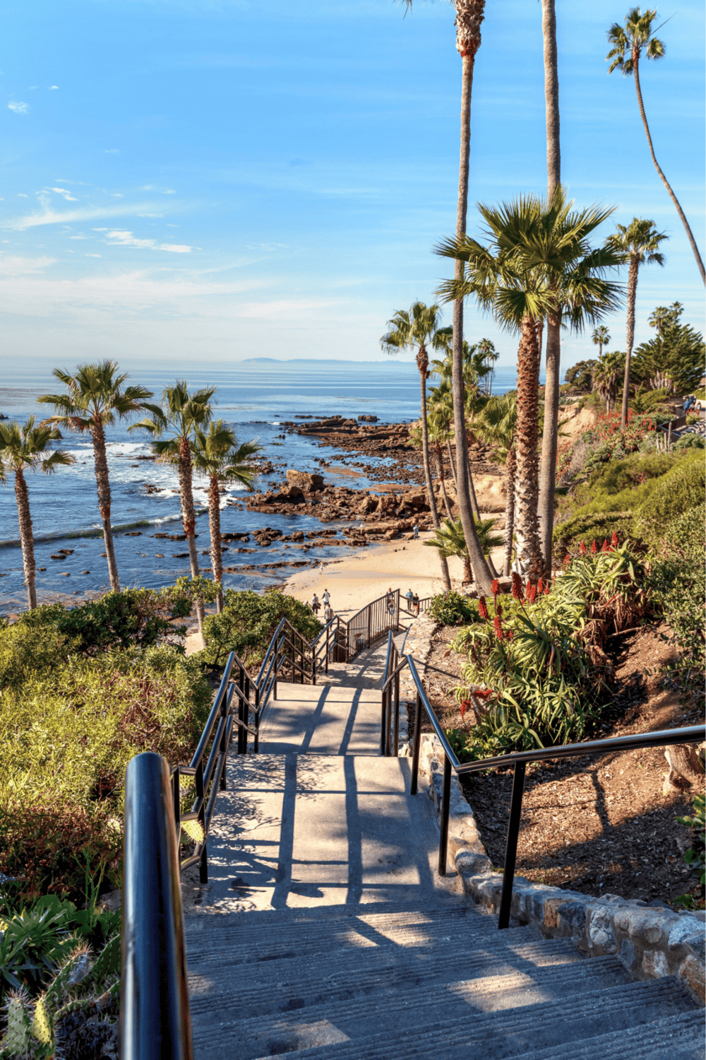 Bright coastal pathway leading to sandy beach with palm trees in California, scenic ocean views, and lush greenery.