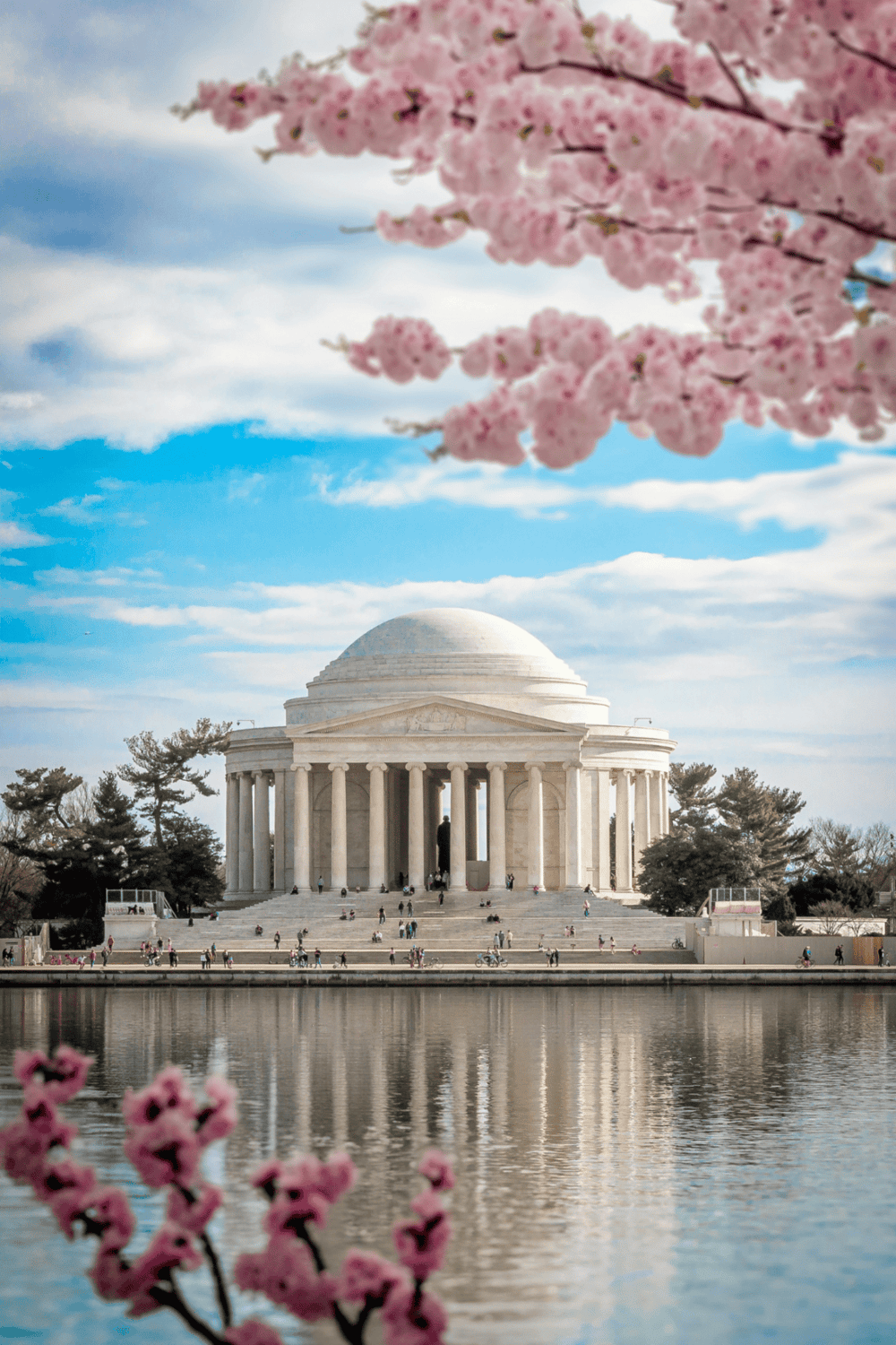 White House with cherry blossoms, famous monument in Washington, D.C., travel, tourism, iconic landmark, spring scenery.