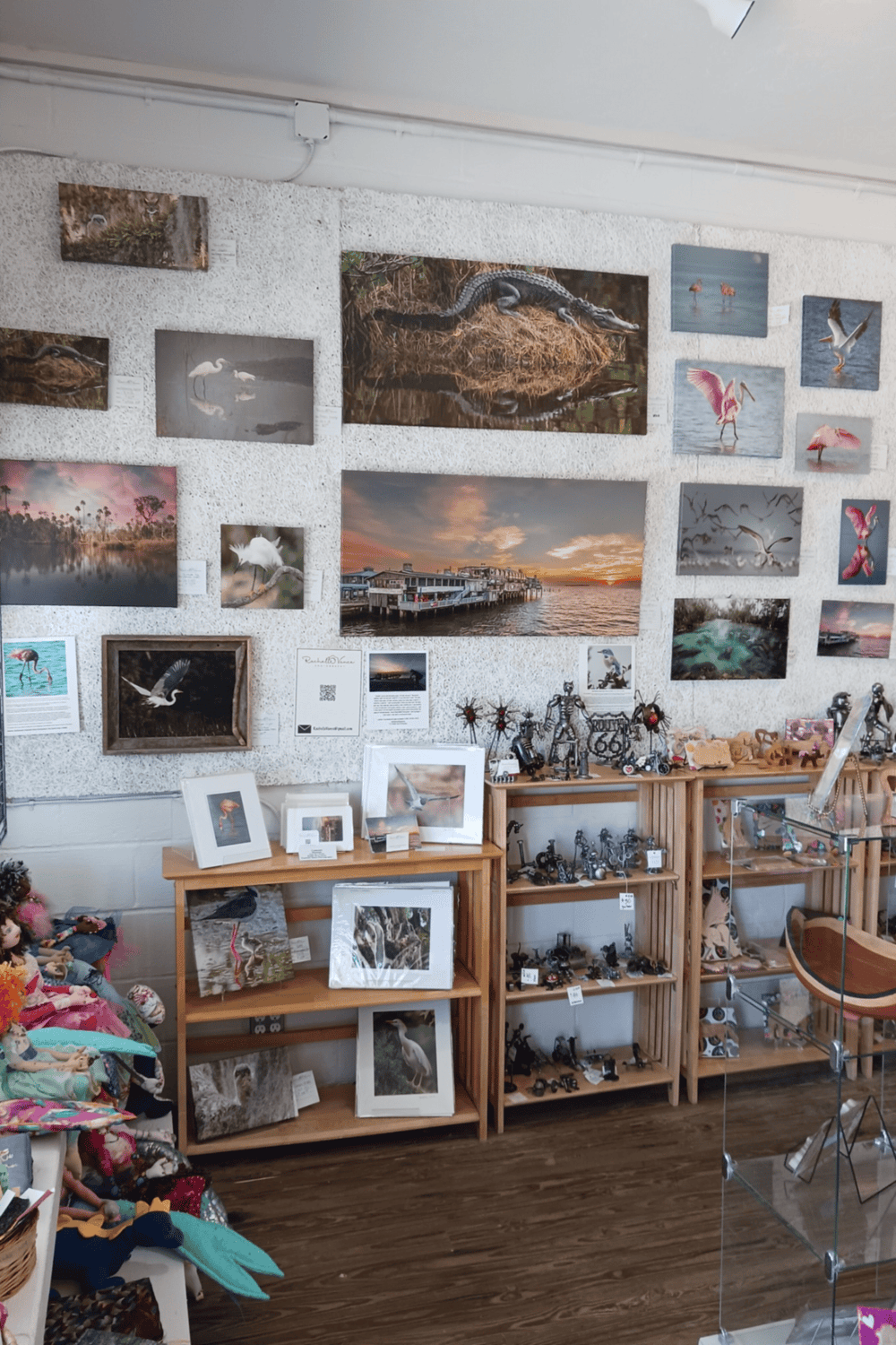 Colorful bird photography and wildlife art displayed at QuestForDirections gallery.