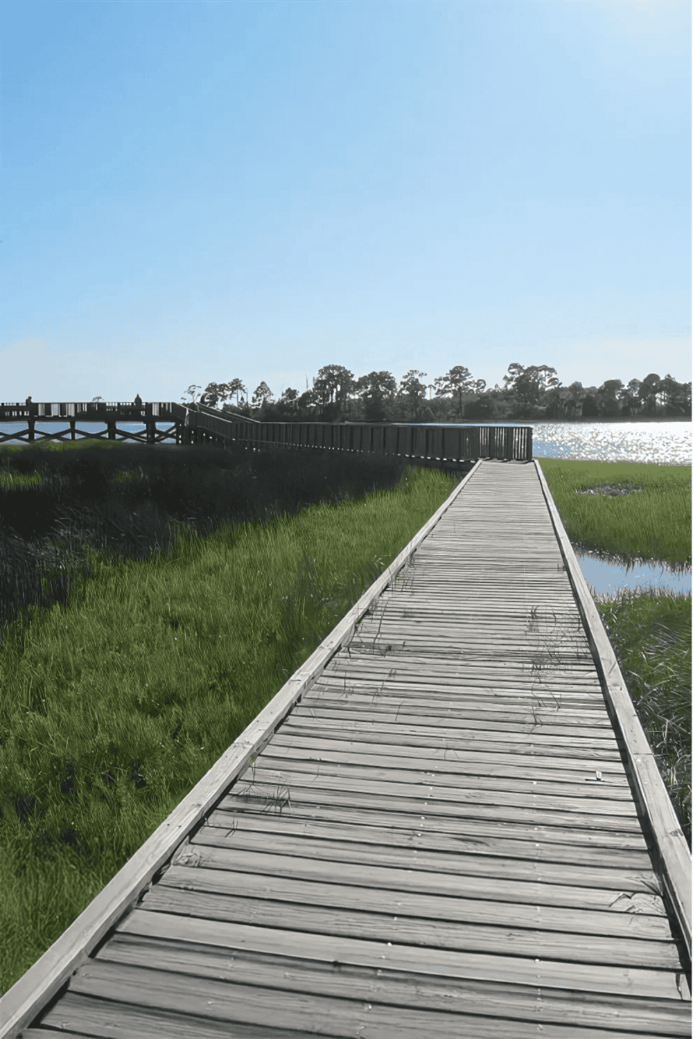 Bright wooden boardwalk leading to water, nature scenery, scenic outdoor trail.