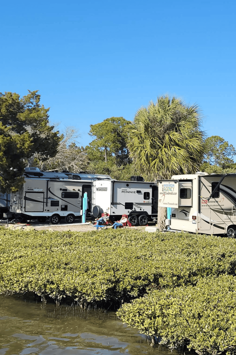 RV park with palm trees and lush greenery, perfect for RV camping and outdoor adventures.