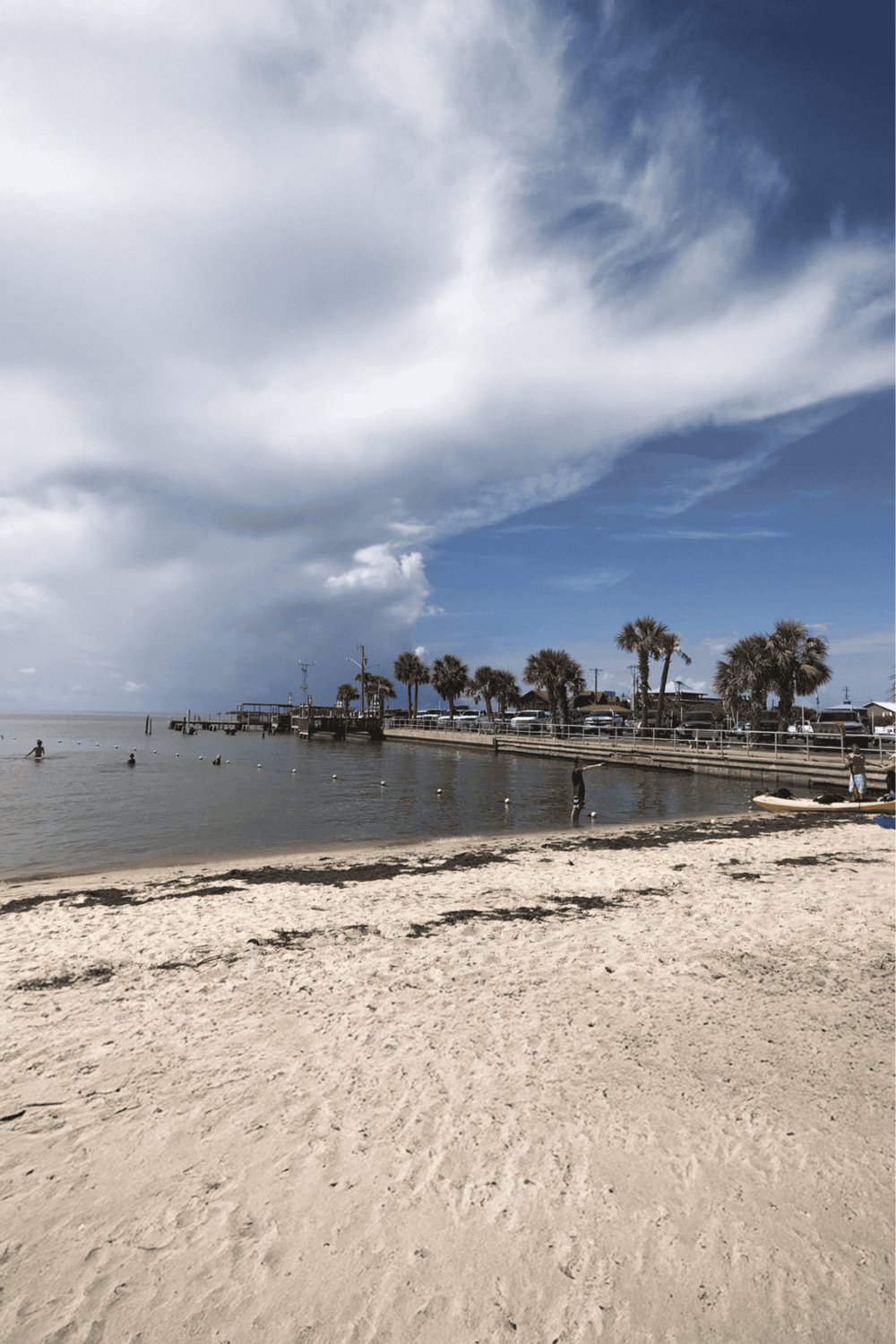 Beach with palm trees and pier, sunny weather and blue sky, perfect for seaside vacation.