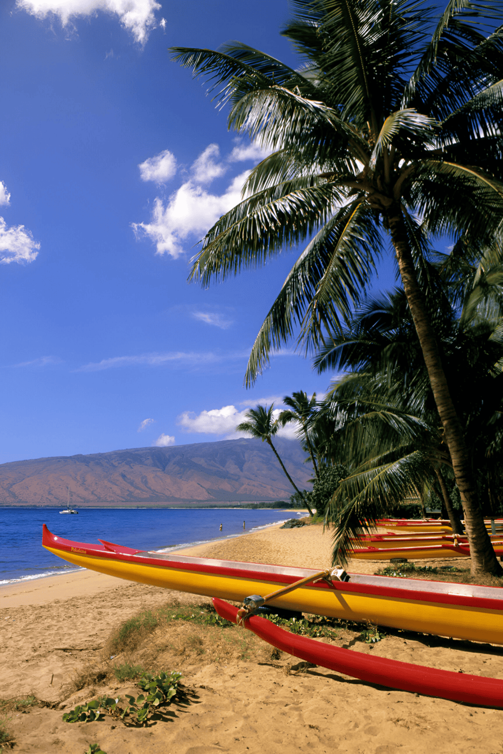 Relaxing tropical beach with colorful kayaks, palm trees, and mountain view, perfect for vacation planning.